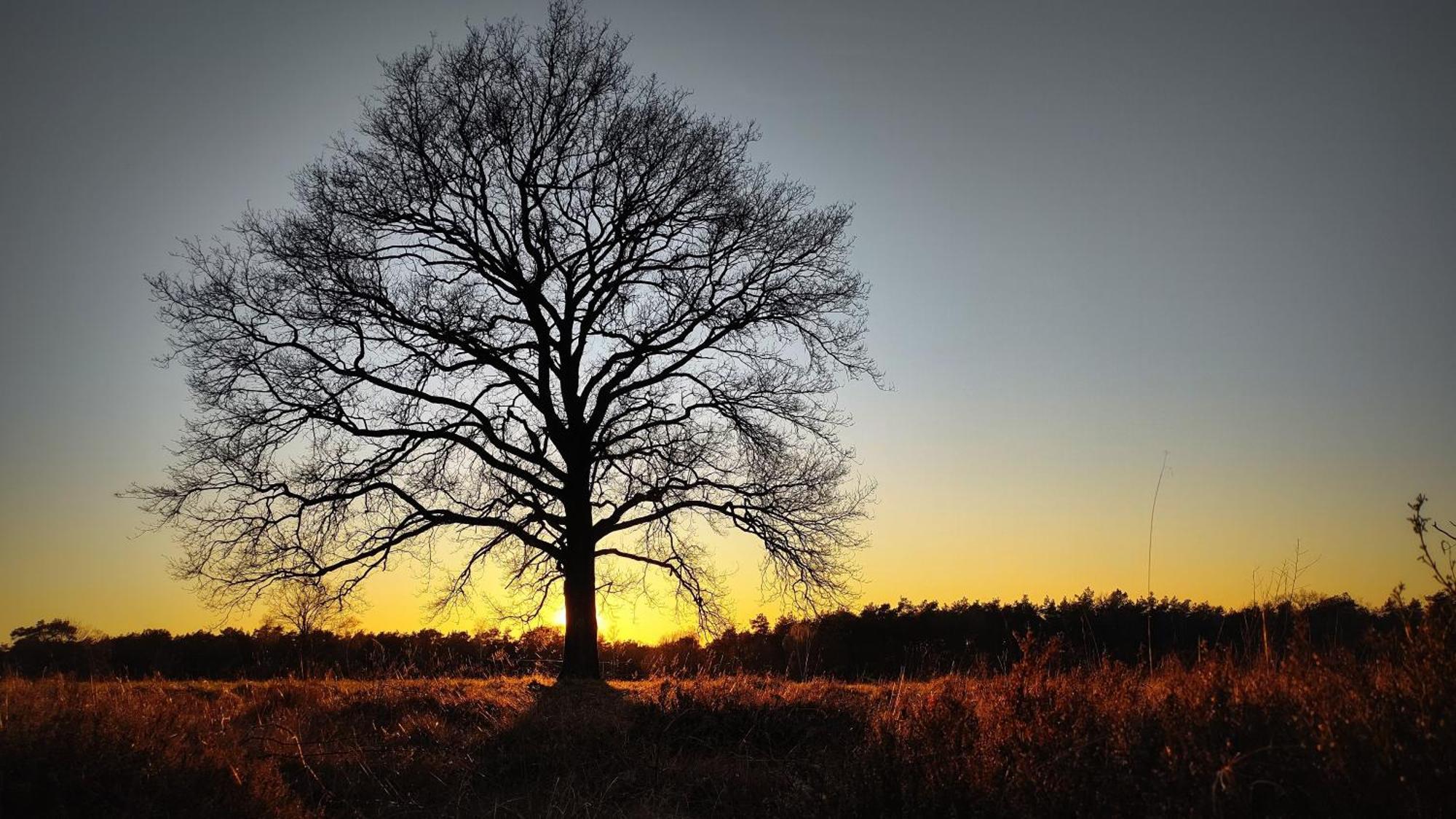 Landhuisje 31 'De Akkersteen' Bospark Ijsselheide Zwolle Hattemerbroek Exteriér fotografie